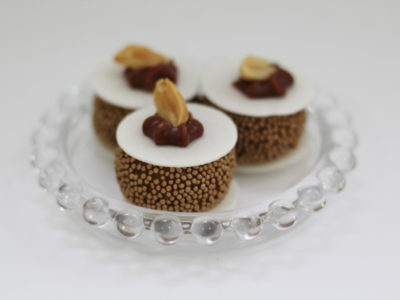 cajuzinho estilizado