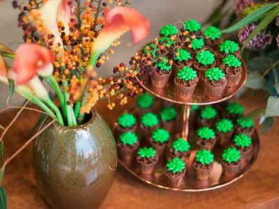 Copinho de Suculenta